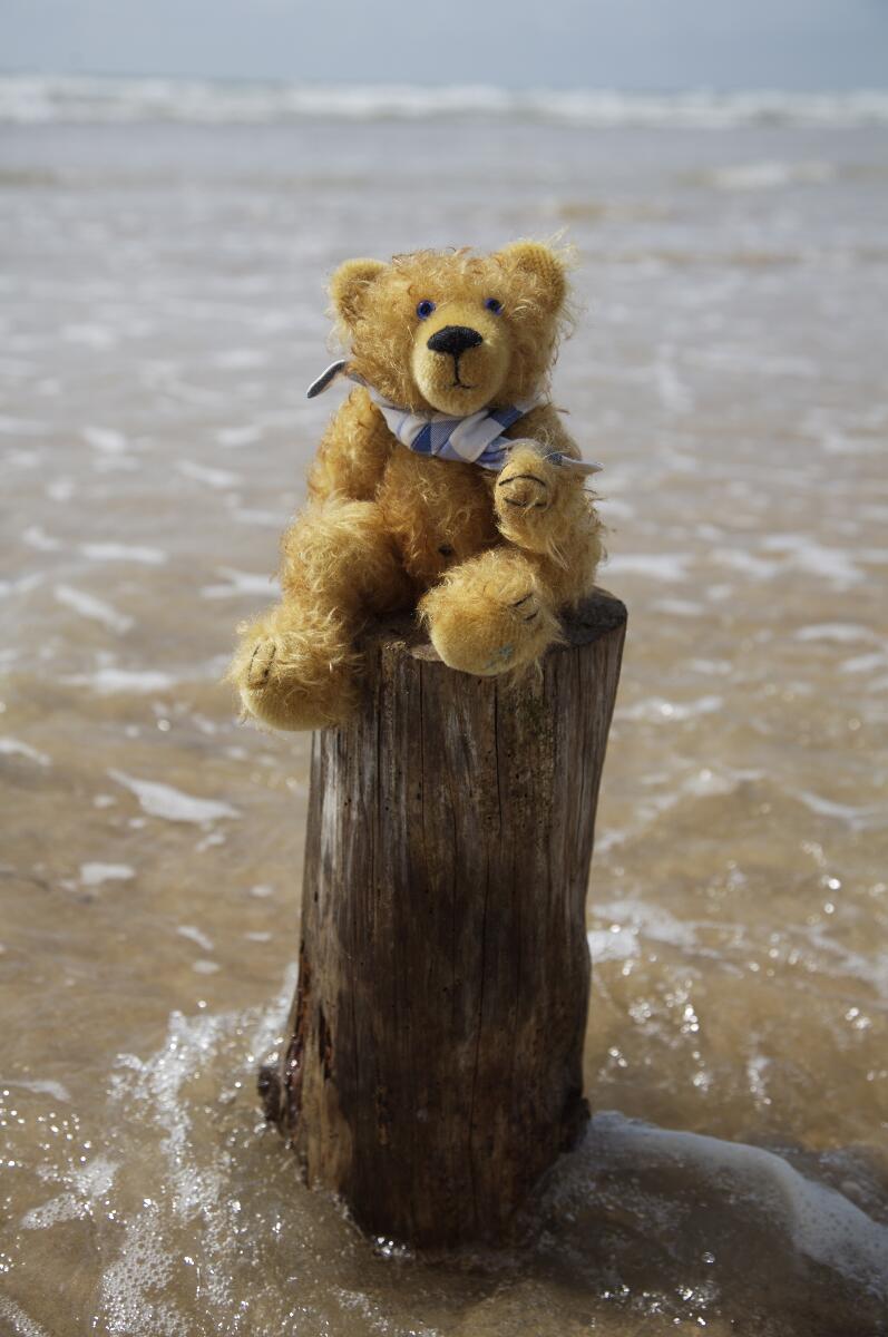 alexia-naumovic-peluche-ours
